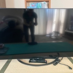 家電 テレビ 液晶テレビ