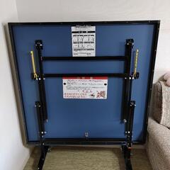 アルペン IGNIO 家庭用サイズ卓球台 セパレート式 移動キャ...