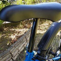 22インチ　子供用自転車の画像