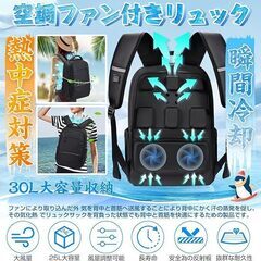 Moon-Valley 空調ファン付きリュックサック ブラック 新品未使用品 今だけ75%OFFの画像