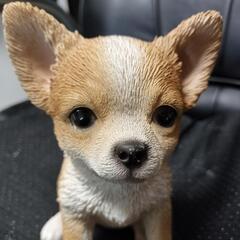 予約済　物凄く可愛いチワワの置物の画像