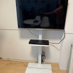 家電 テレビ 液晶テレビ