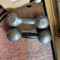 【予約済み】ダンバル5kg