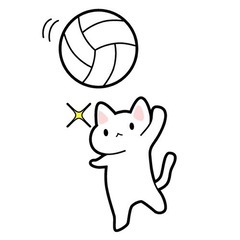 🏐ゆるふわ系バレーメンバーを募集します‼️