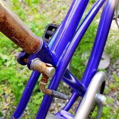 ANA自転車 の画像