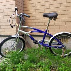 ANA自転車 の画像