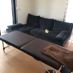 沢山のお問い合わせありがとうございました❗️ロデオ動きします❗️簡易ベッド❗️2台で500円‼️の画像