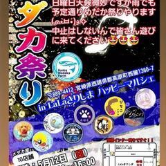 LaLaきりしま めだか祭り 予定通り開催します！