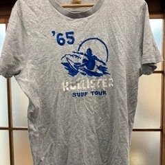 Tシャツ メンズ HOLLISTER