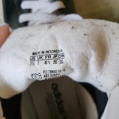 靴/バッグ 靴 スニーカーの画像