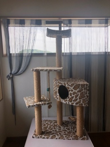 キャットタワー