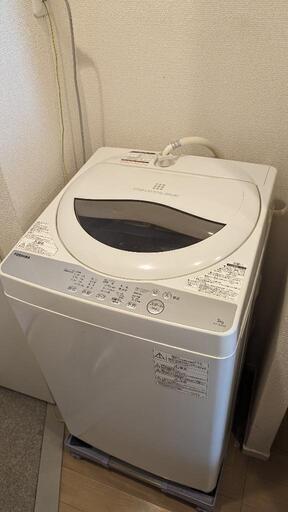 家電 生活家電 洗濯機