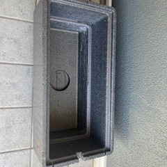 水槽メダカ