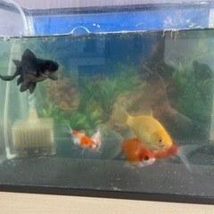 受け渡し者決まりましたの画像