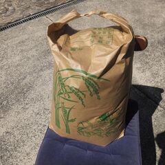 令和5年兵庫県産米　きぬむすめ　30kg