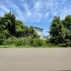 庭木伐採・枝払い・木の撤去・木の根除去・抜根・林業・草刈り&整地・砂利引き生コン打設　札幌 旭川 岩見沢 滝川（全道対応） - 札幌市