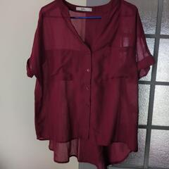 レディース　夏服の画像