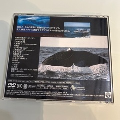 深海の覇者マッコウクジラ　DVDの画像