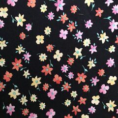 スカート（f組曲)の画像