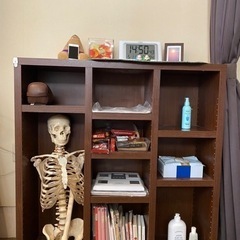 家具 収納家具 本棚