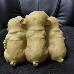 DOG＆ウェルカム　パグの画像