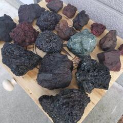 富士山の石 溶岩 アクアリウム  の画像