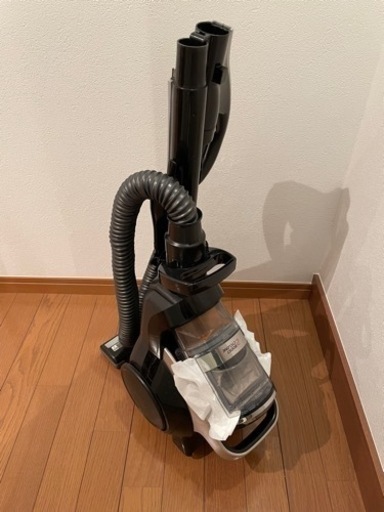 家電 生活家電 掃除機