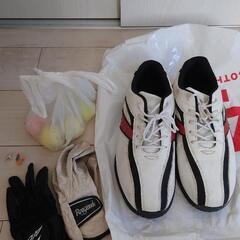 取引先が決まりました。ゴルフセットPROGICAL＋小物、メンズの画像