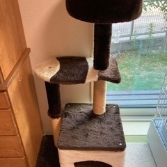 キャットタワーの画像