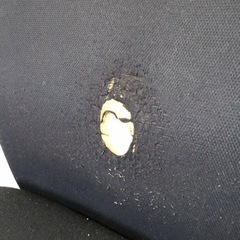 チェア 家具 オフィス用家具 いすの画像