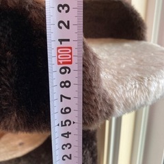キャットタワーの画像