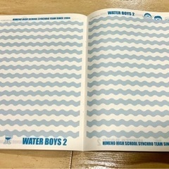 ウォーターボーイズ　ワンナイ　めちゃイケ　グッズの画像