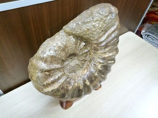詳細不明 化石 コレクション 観賞用 石 置物 台座付き 横幅 約33cm 重量 約14Kg 中古 苫小牧西店