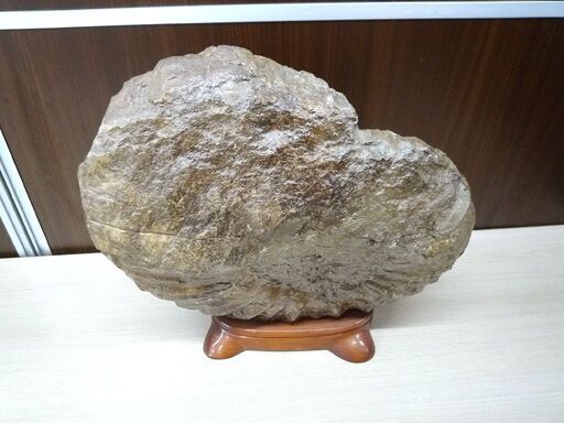 詳細不明 化石 コレクション 観賞用 石 置物 台座付き 横幅 約33cm 重量 約14Kg 中古 苫小牧西店