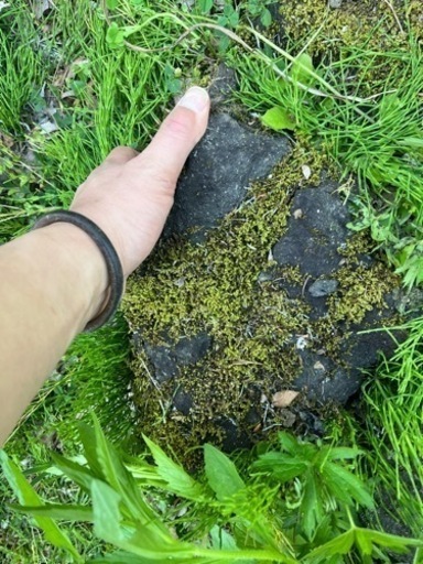 生活雑貨 家庭用品 ガーデニング