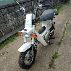 ホンダシャリーの画像