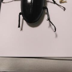 ギラファノコギリクワガタ　オス1メス2の画像