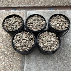 鉢底石6Lバケツ5個セット