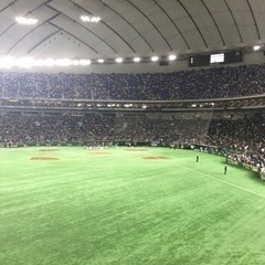 野球の練習相手募集！！