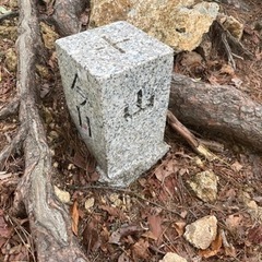 ハイキング