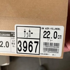 ジュニア用　サッカースパイク　22センチ
