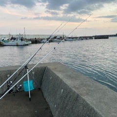 釣り友達募集中