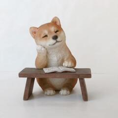 🐕️🐕️🐕️いねむり中〜♪
柴犬が可愛い!!の画像