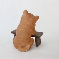 🐕️🐕️🐕️いねむり中〜♪
柴犬が可愛い!!の画像