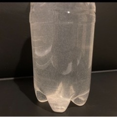 🐟【10軒☆御礼】ゾウリムシ900mlの画像