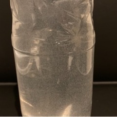 🐟【10軒☆御礼】ゾウリムシ900mlの画像