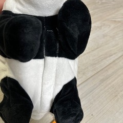 シャクレルプラネット　パンダの画像