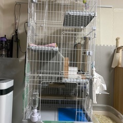 キャットケージ