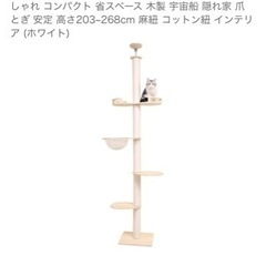 キャットタワー突っ張り式美品