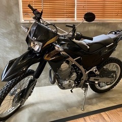 稀少‼︎  KAWASAKI KLX230